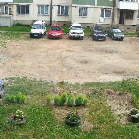 Orhidea Apartman جورجيني المظهر الخارجي الصورة